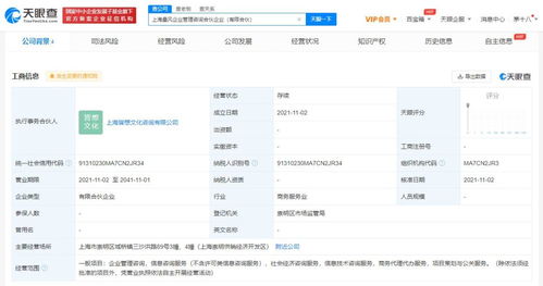 社會經(jīng)濟咨詢服務(wù) 驅(qū)動現(xiàn)代商業(yè)決策與發(fā)展的隱形引擎